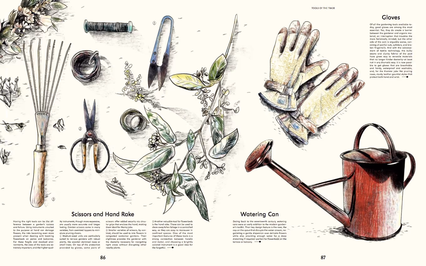 plantas-gestalten-the-summer-hunter-7