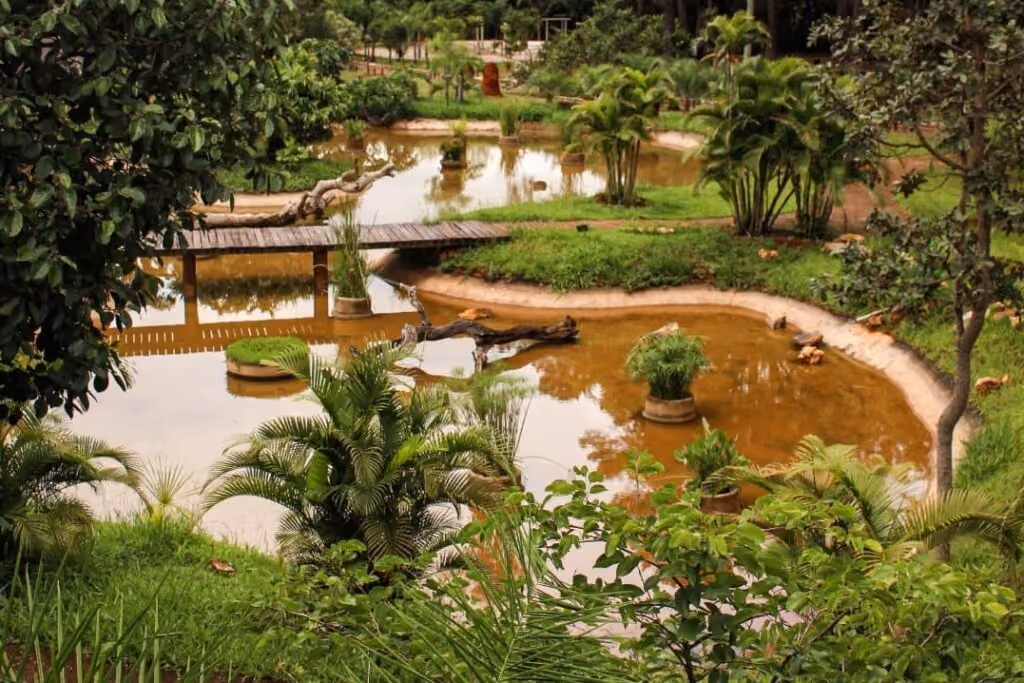 Jardim Botânico de Brasília