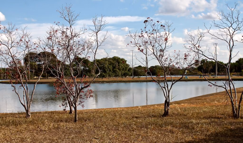 Parque da cidade, em Brasília