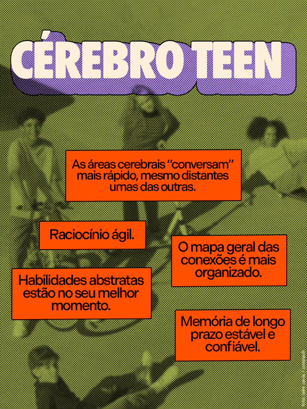 Cérebro adolescente:
. As áreas cerebrais “conversam” mais rápido, mesmo distantes umas das outras.
. O mapa geral das conexões é mais organizado.
. Raciocínio ágil.
. Habilidades abstratas estão no seu melhor momento.
. Memória de longo prazo estável e confiável.