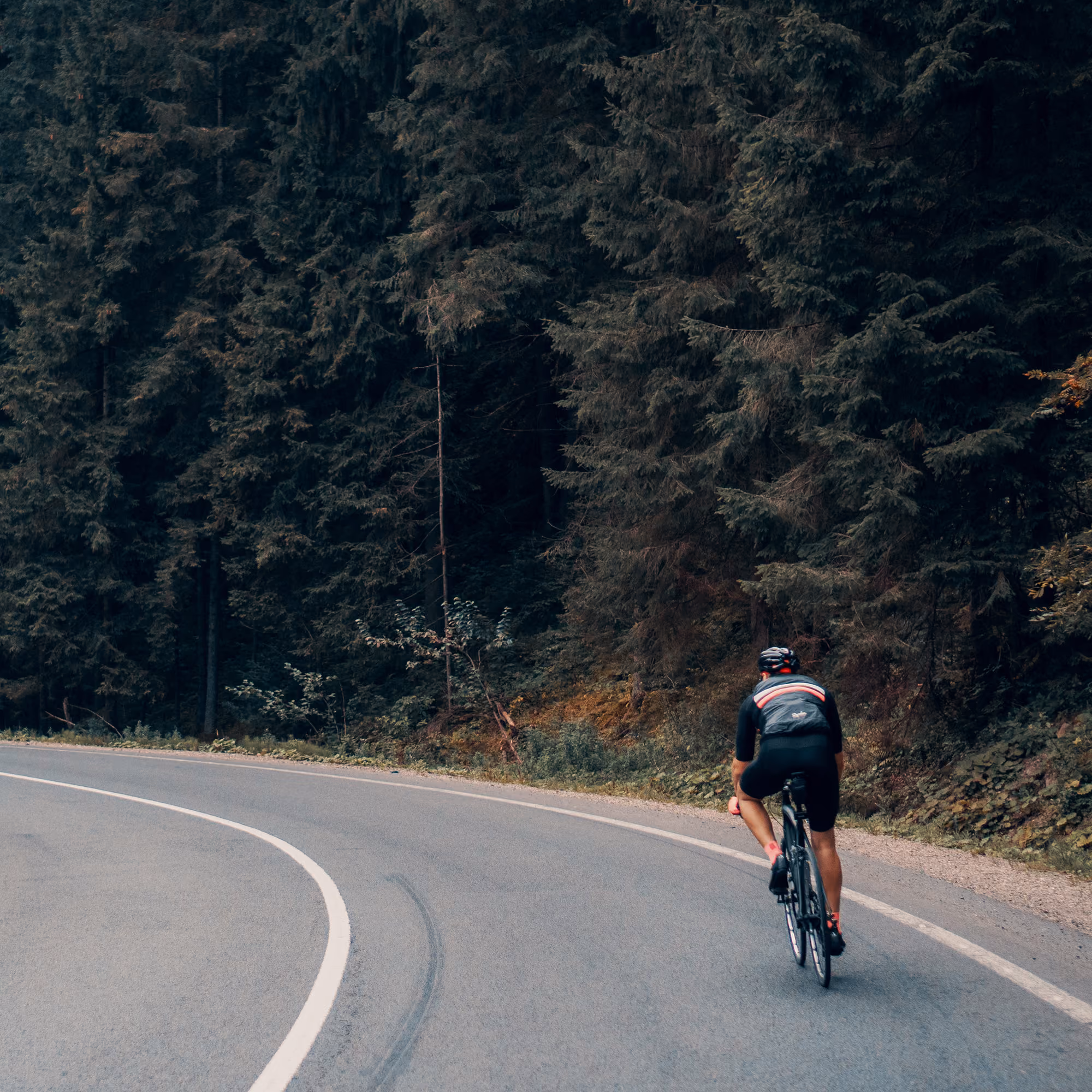 ciclismo de estrada