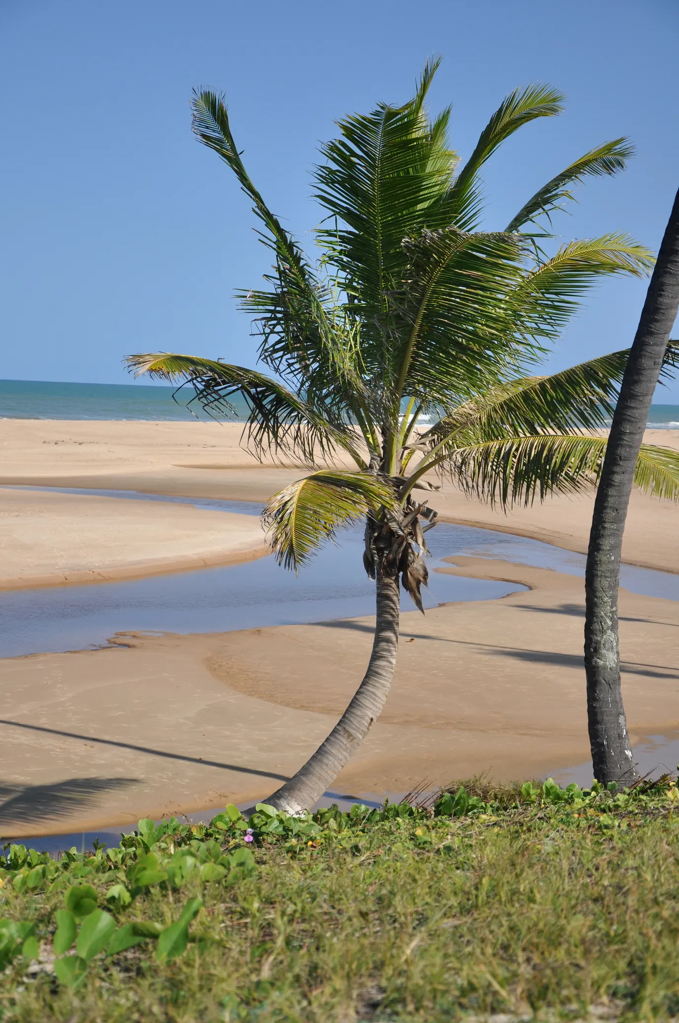 Imbassaí, Camaçari, Bahia
