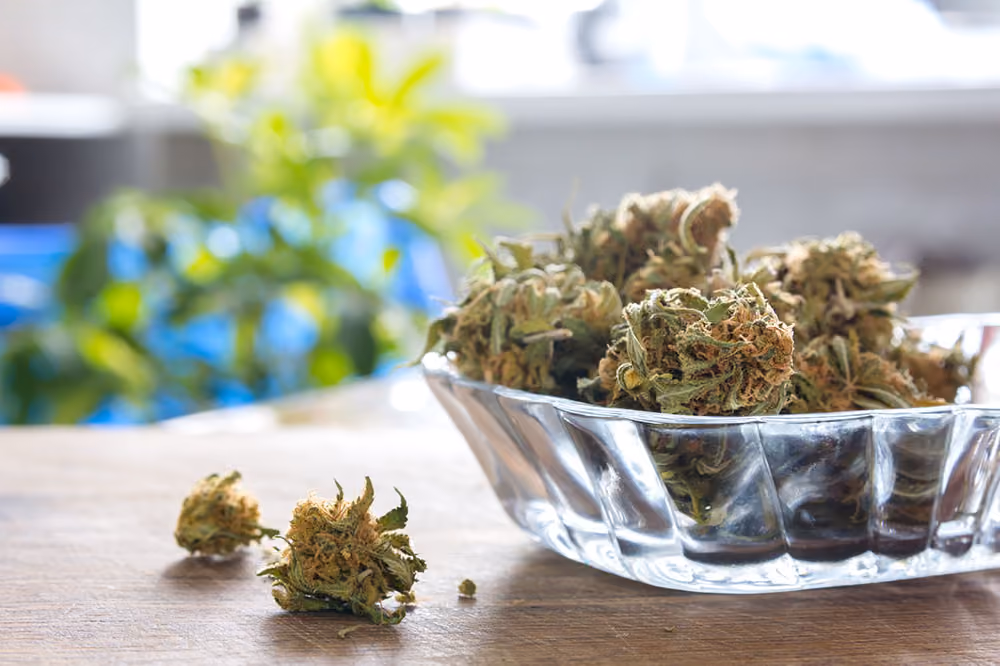 Marijuana buds in the glass plate on the wooden board