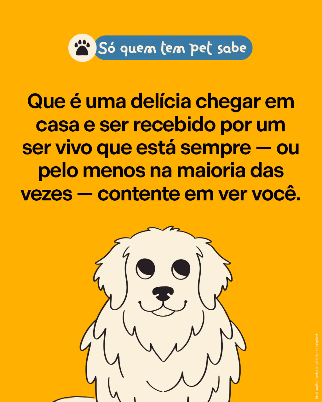 Que é uma delícia chegar em casa e ser recebido por um ser vivo que está sempre — ou pelo menos na maioria das vezes — contente em ver você. 
