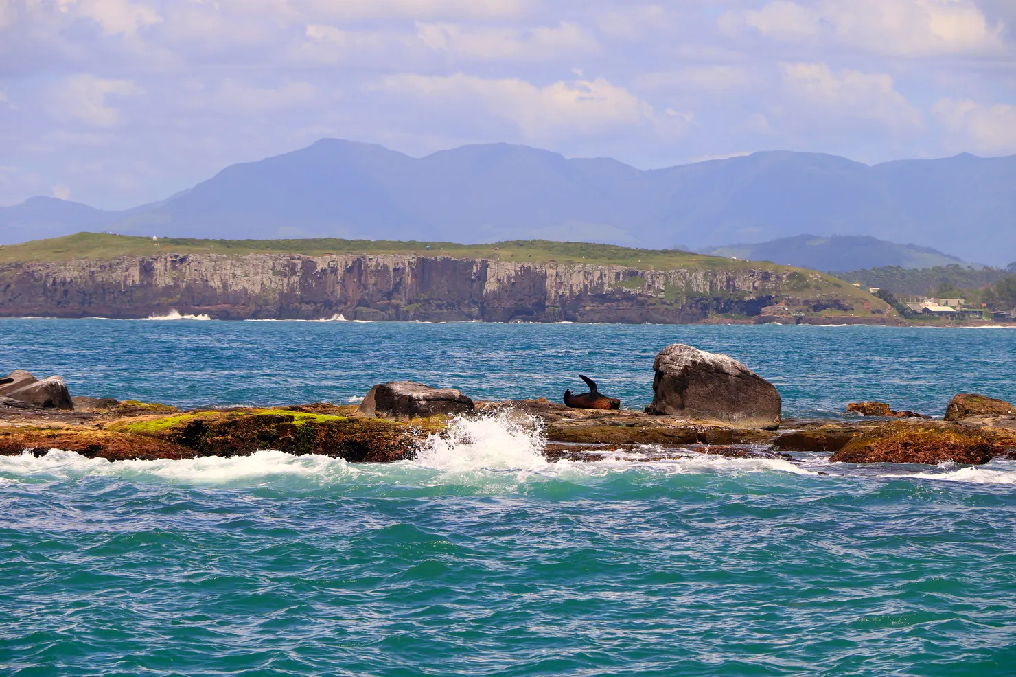 Ilha dos Lobos, Torres, Rio Grande do Sul