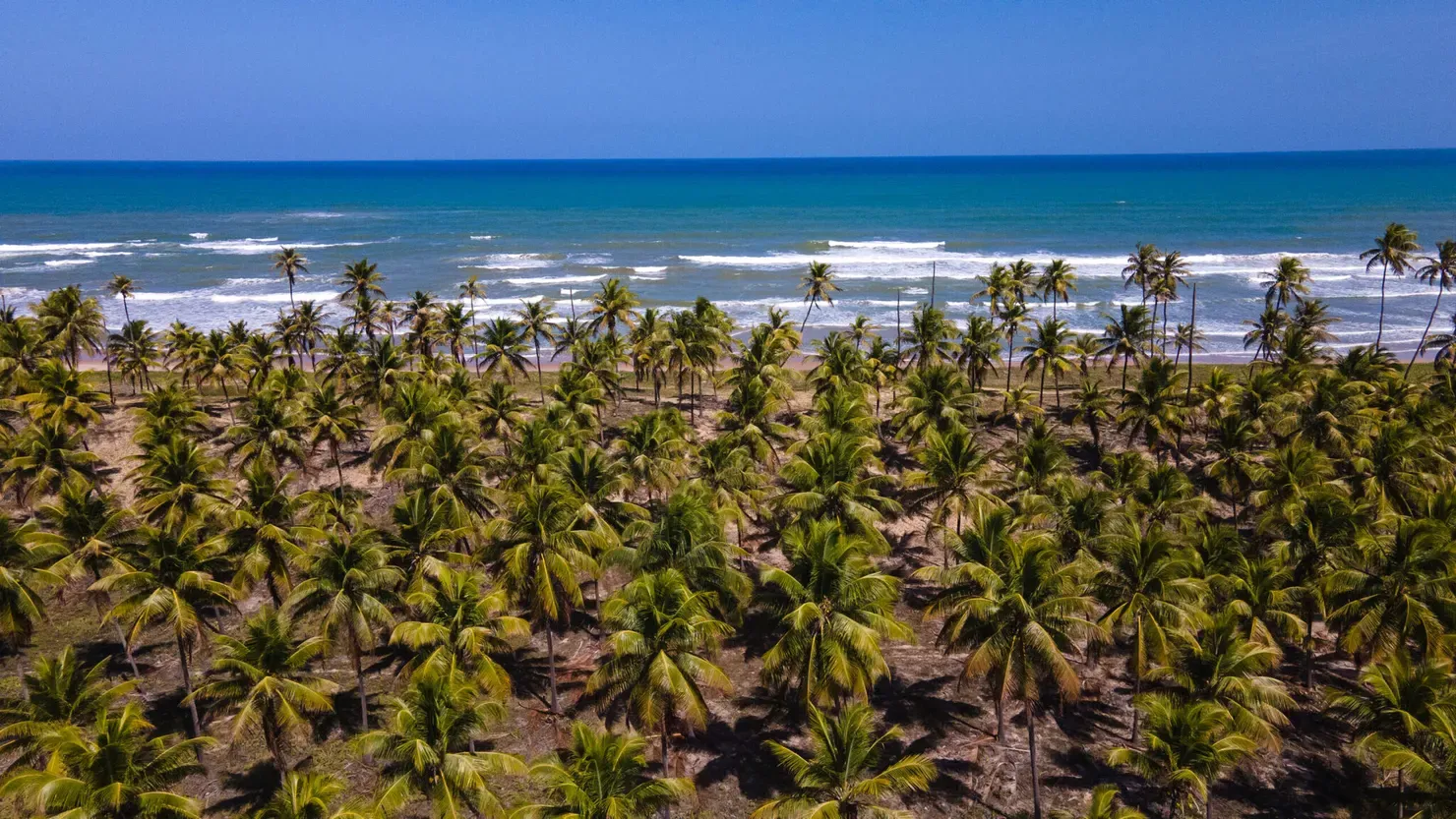 Praia de Santo Antônio: refúgio rústico no Litoral Norte baiano