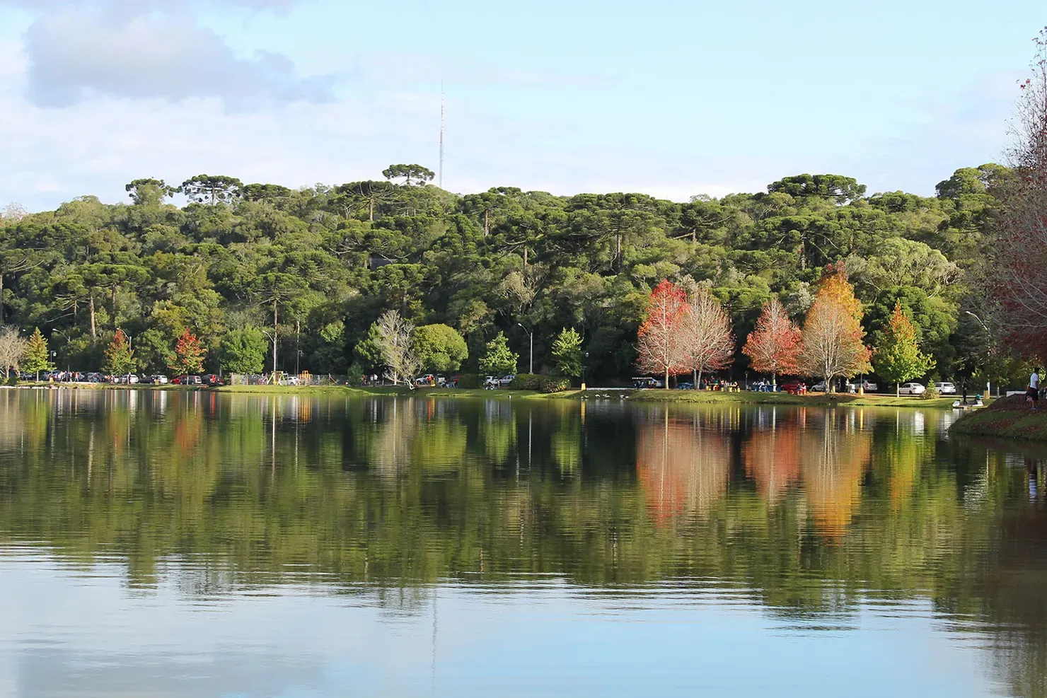 São Francisco de Paula: natureza e aconchego na Serra Gaúcha