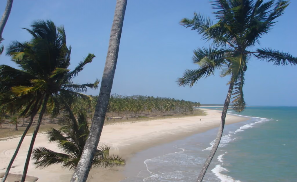 Mamucabinhas, em Barreiros, Pernambuco