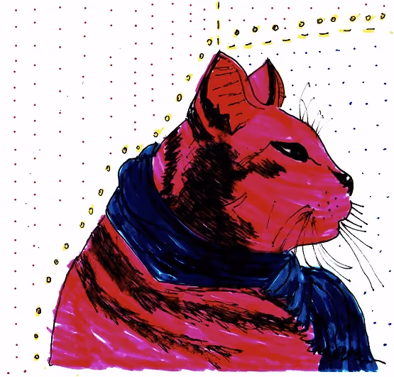 cat
