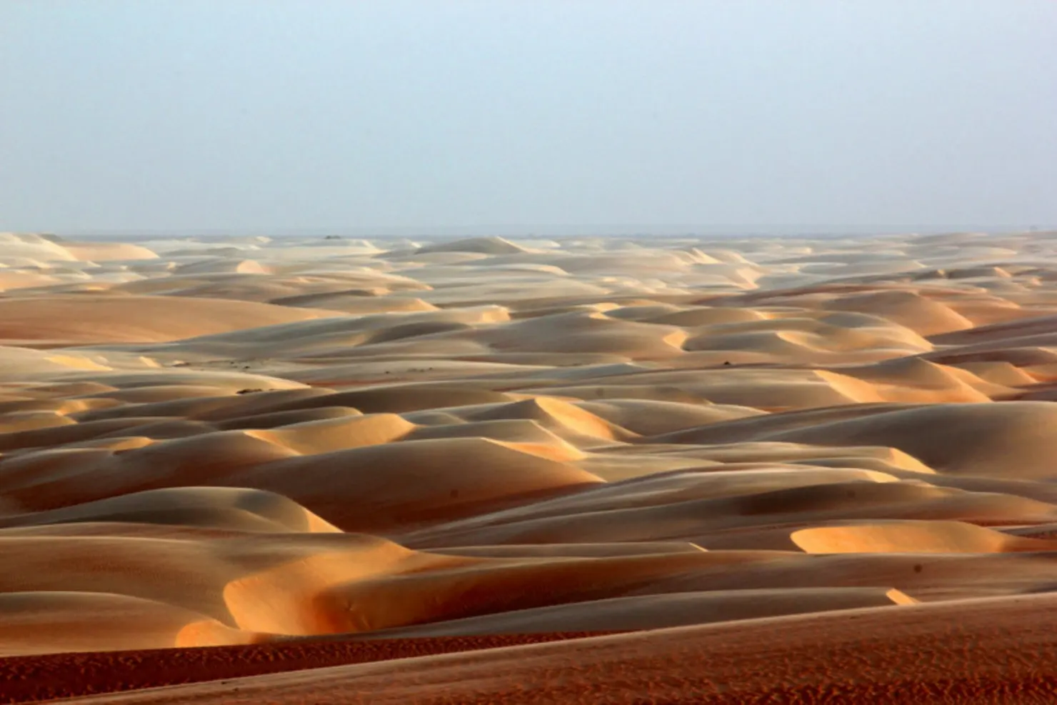 Dunas do Rosado, no Rio Grande do Norte l Créditos: Reprodução
