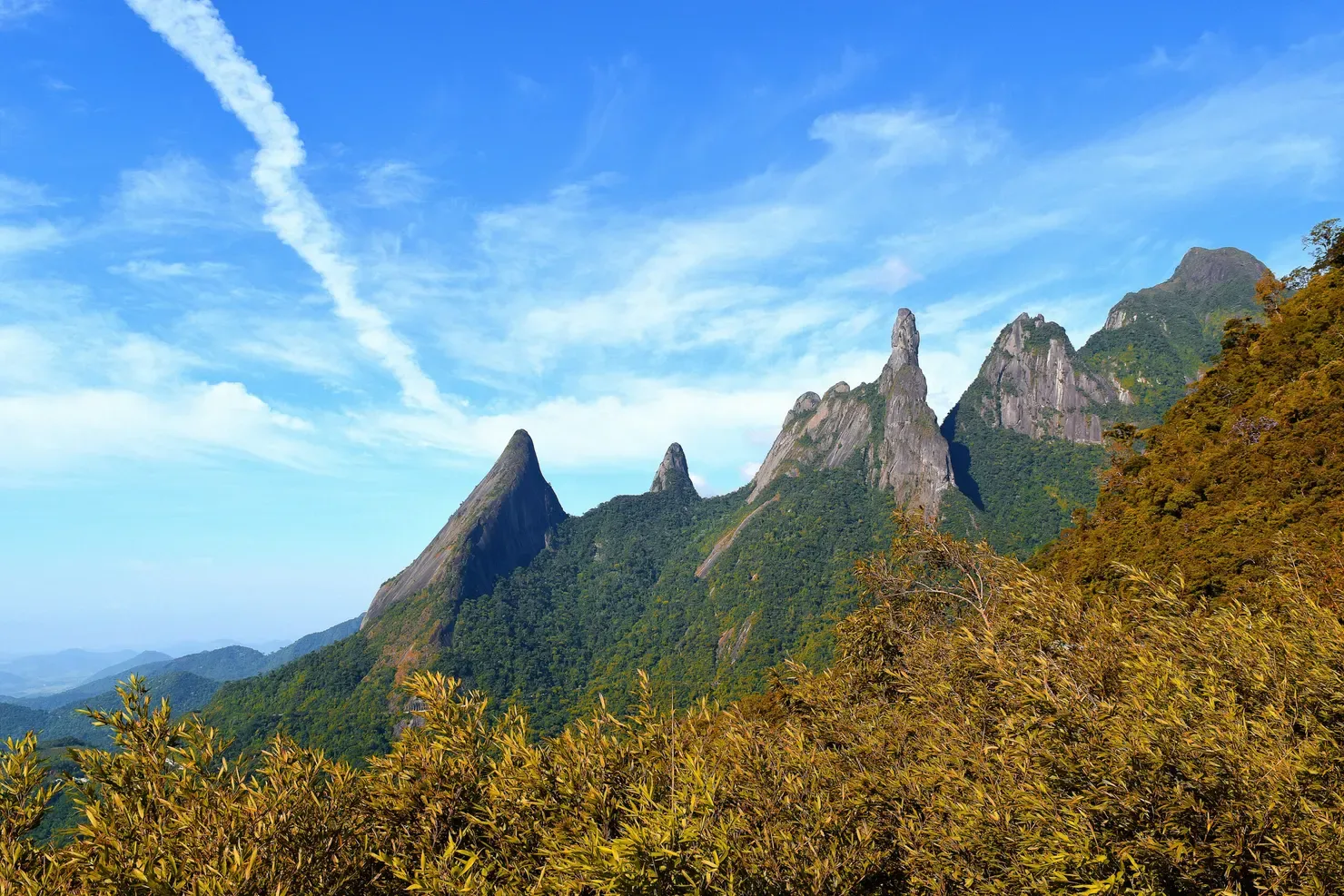 Petrópolis: casarões históricos e paisagens cobertas por Mata Atlântica a 70 km do Rio