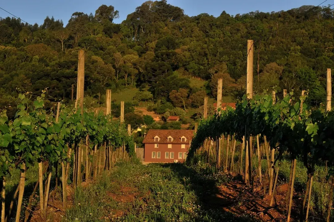 Vinícola Luiz Argenta, Vale dos Vinhedos, Rio Grande do Sul