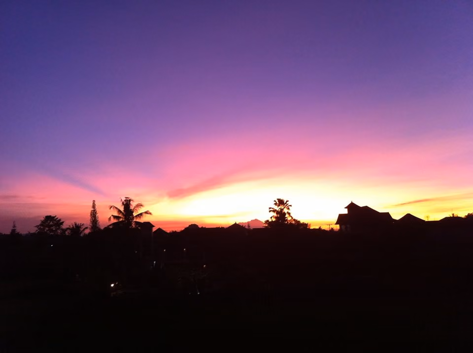 Ubud sunrise - Sheila Zago