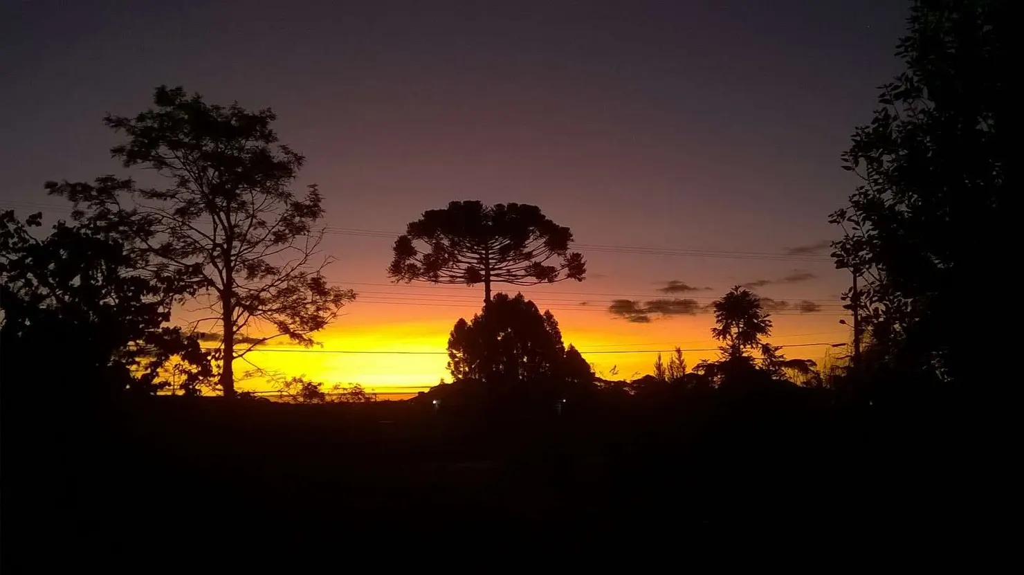 Colônia Witmarsum, Palmeira, Paraná