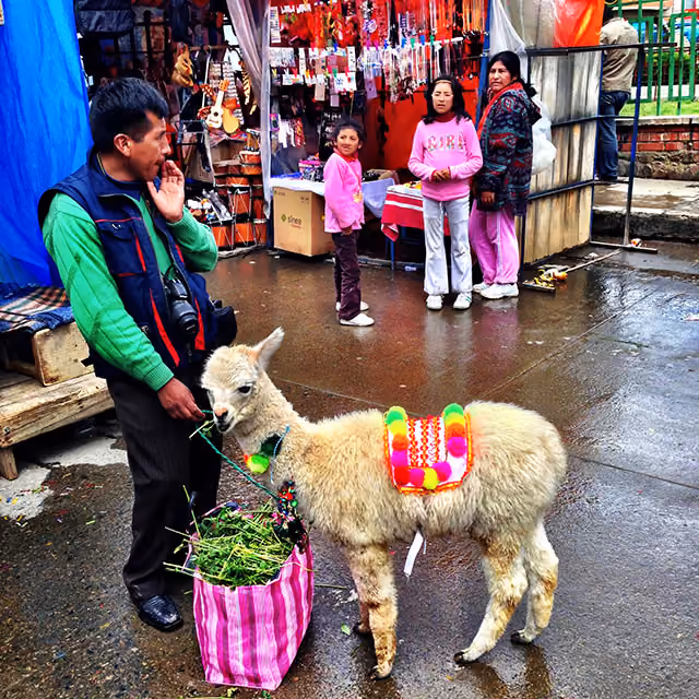 el-alto-bolivia-the-summer-hunter-3