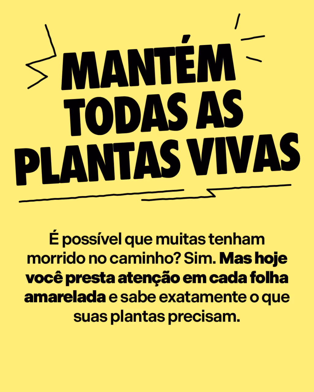 Mantém todas as plantas vivas
É possível que muitas tenham morrido no caminho? Sim. Mas hoje você presta atenção em cada folha amarelada e sabe exatamente o que suas plantas precisam.