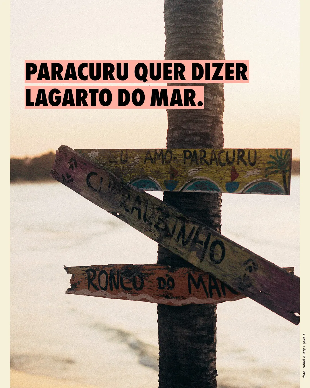 Paracuru quer dizer lagarto do mar.