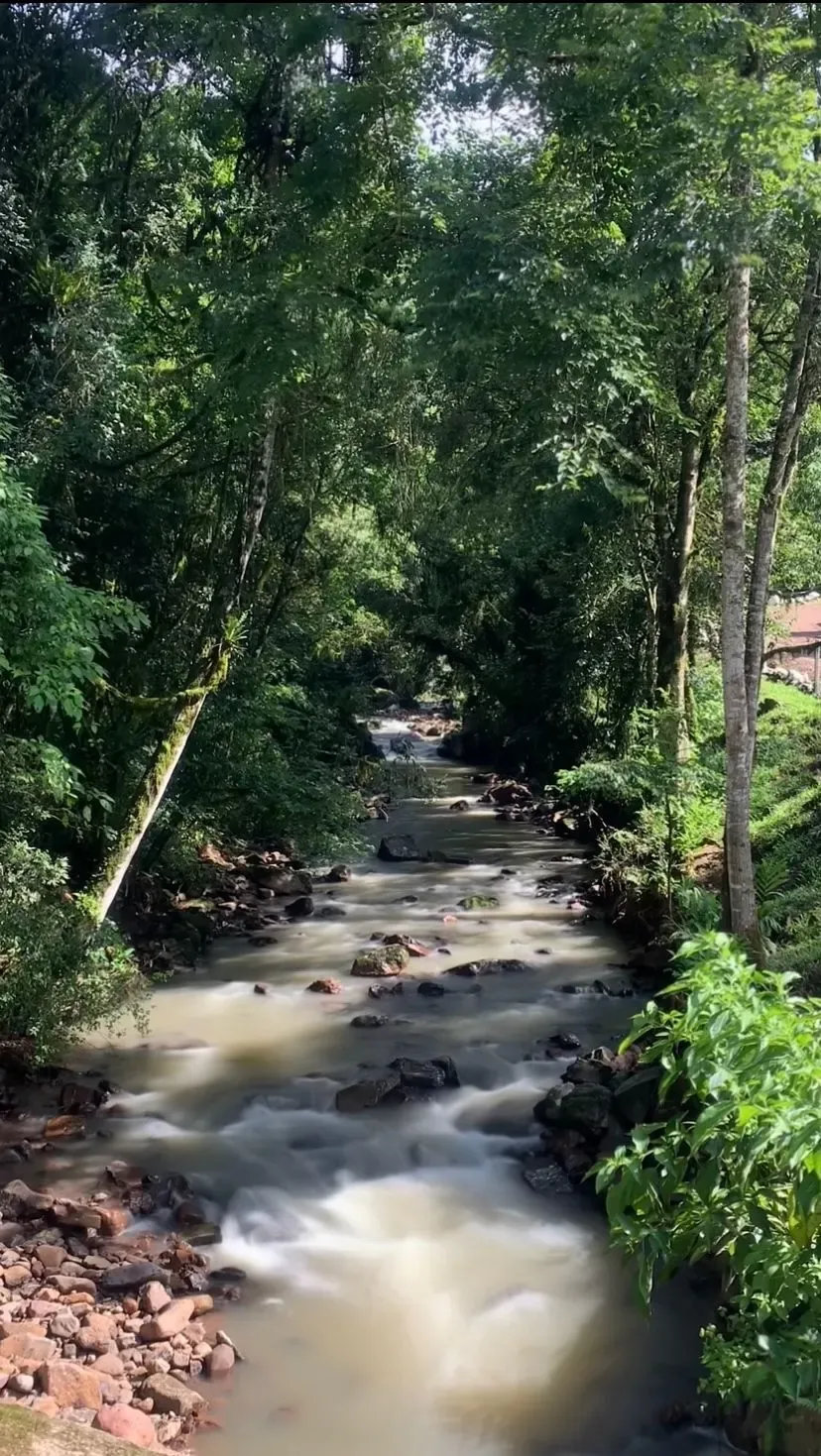 O Caminho de Santiago gaúcho