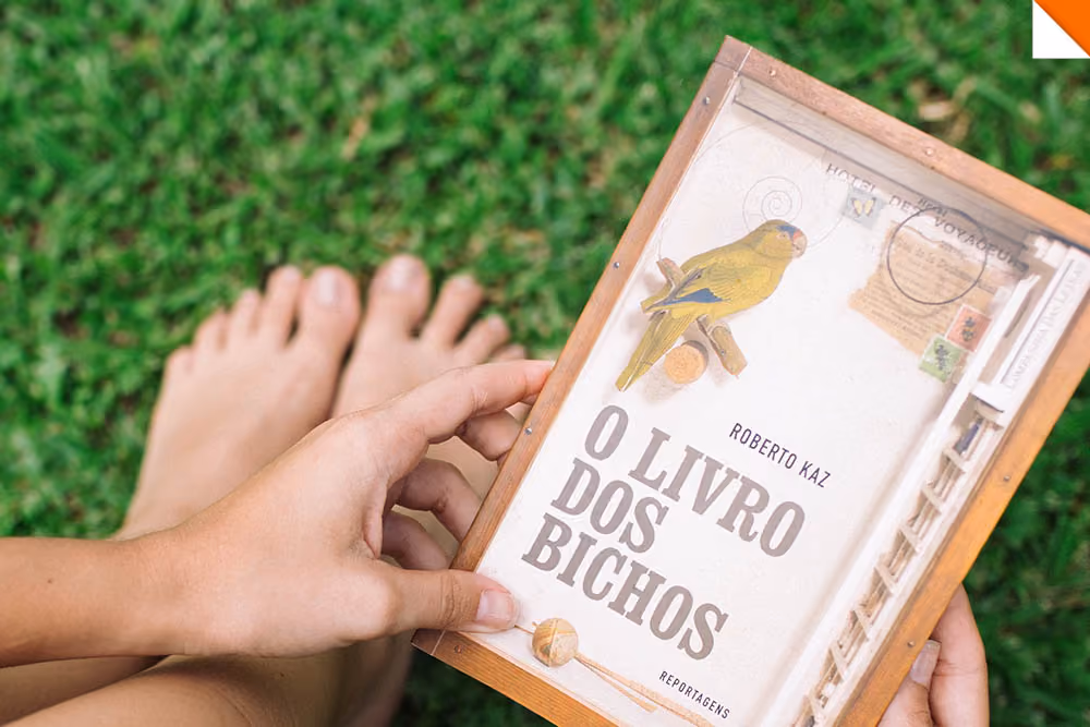 livros-bichos-roberto-kaz-verao-brasil-home