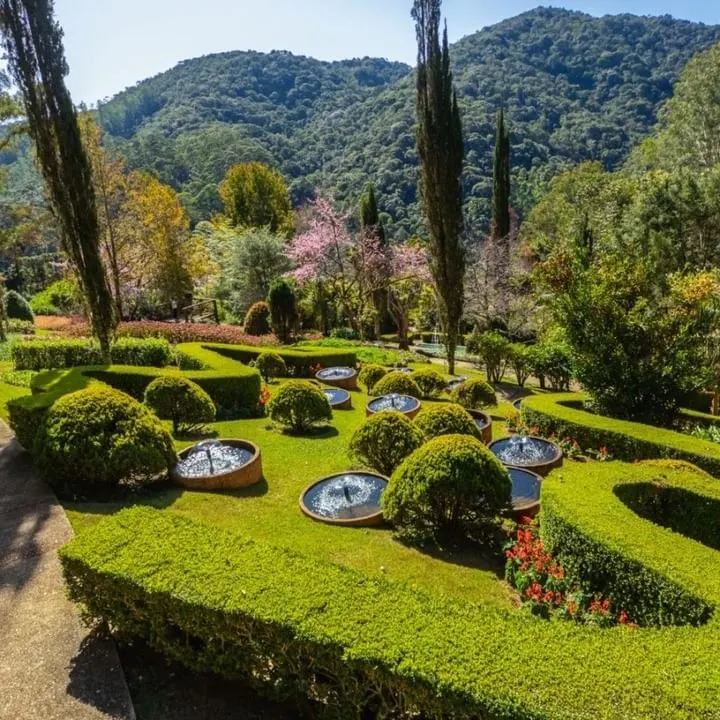 Jardim dos Pinhais, em Santo Antônio dos Pinhais