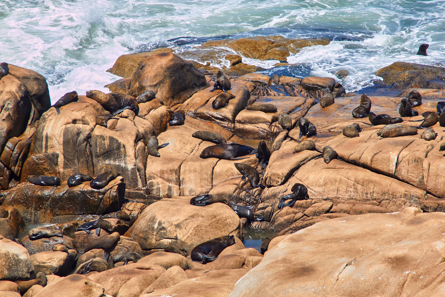 cabo-polonio-uruguay-istock-3