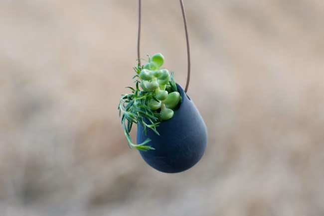 wearable planter