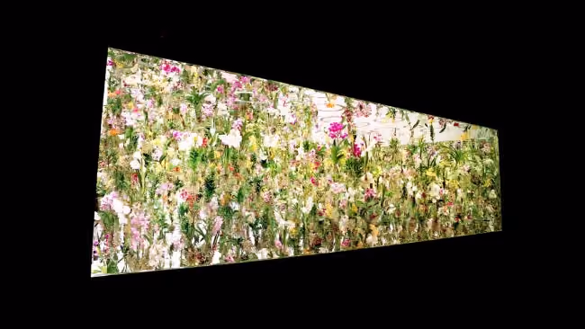 Floating-Flower-Garden_13