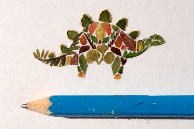 helen_plants_9