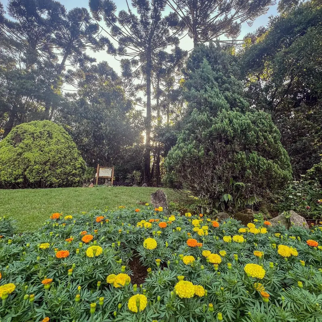 Jardim dos Pinhais, em Santo Antônio dos Pinhais