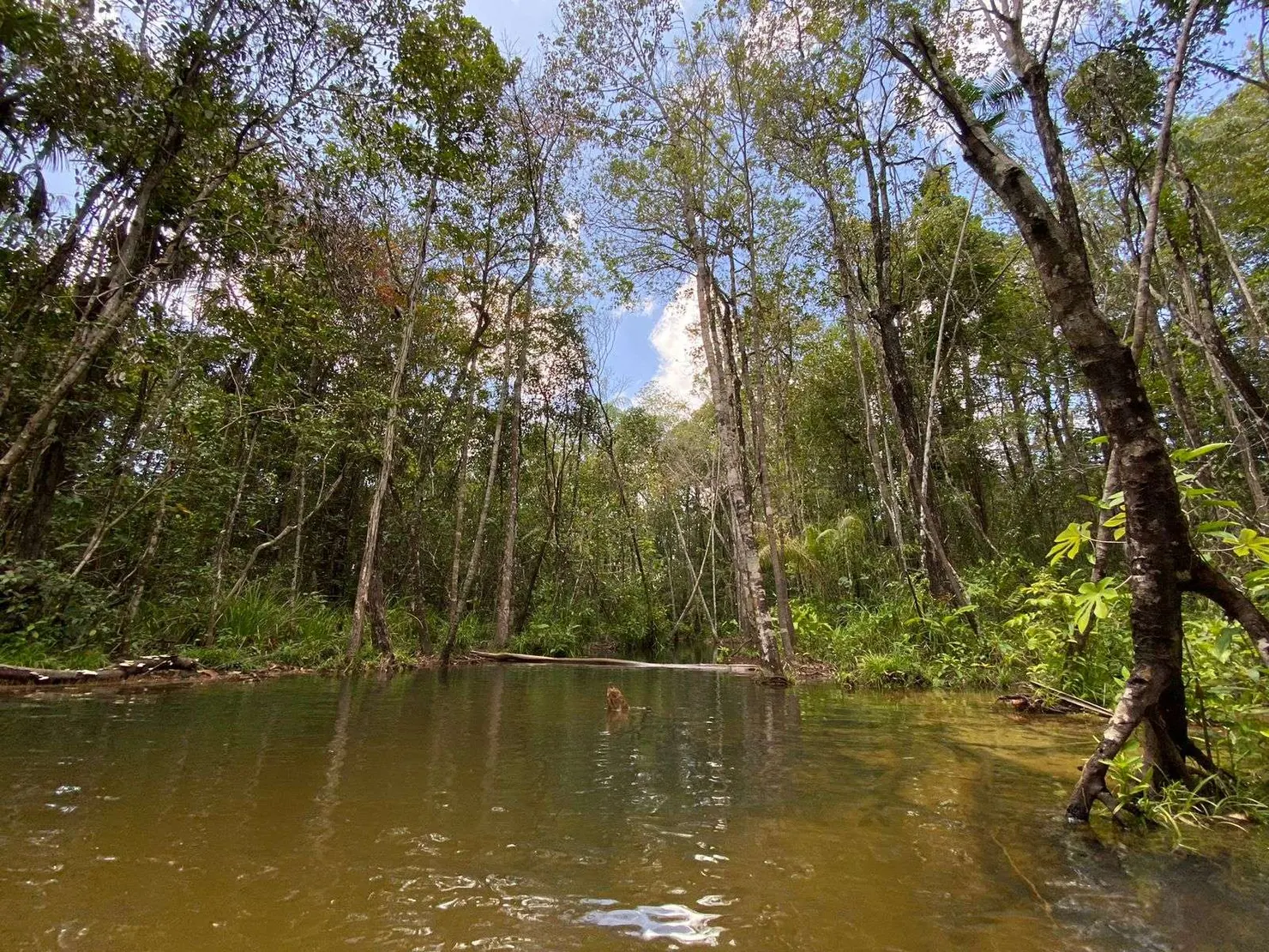 Igarapé, Boa Vista, Roraima