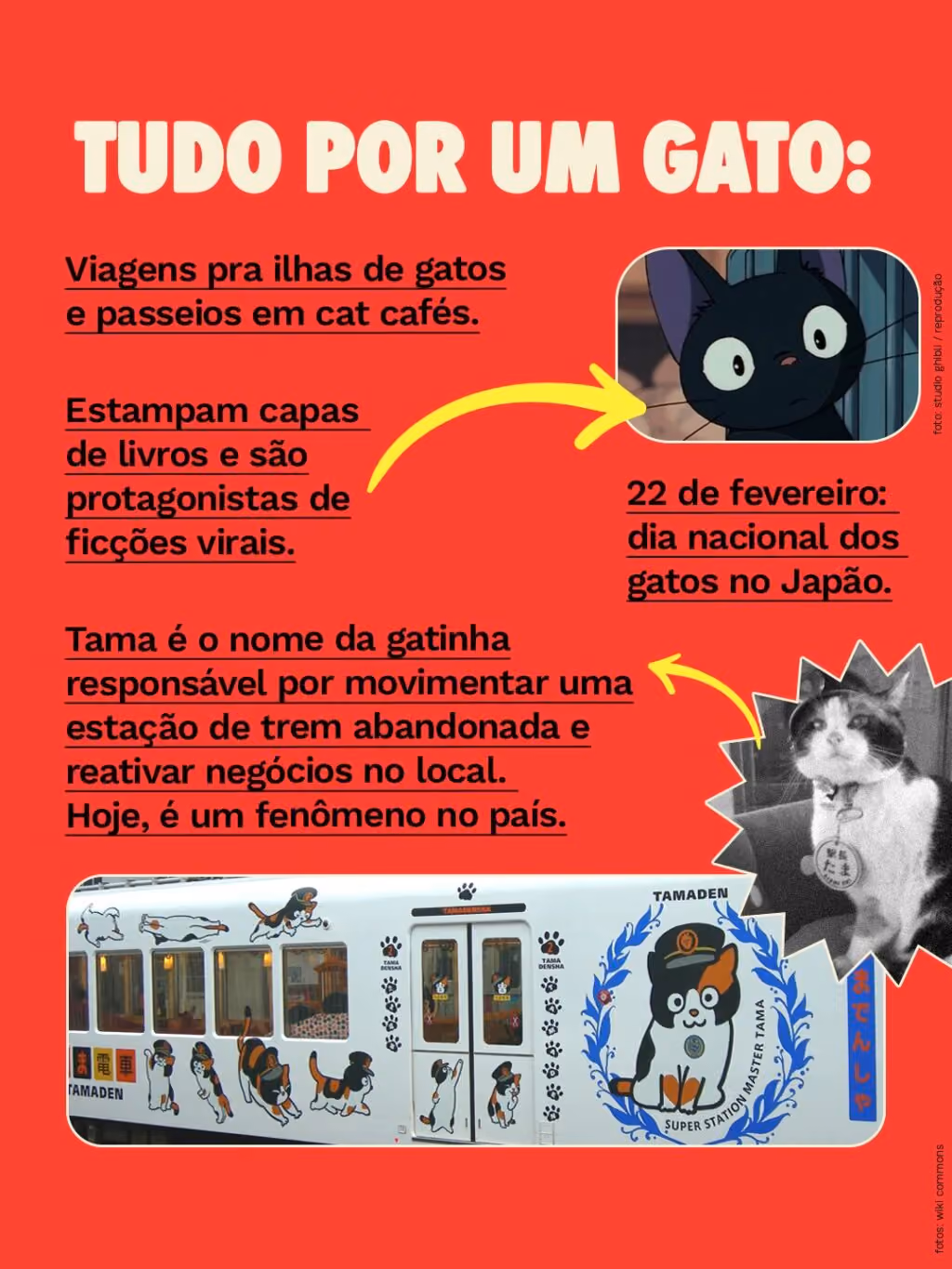 Tudo por um gato:
. Viagens pra ilhas de gatos e passeios em cat cafés.
. 22 de fevereiro: dia nacional dos gatos no Japão.
. Estampam capas de livros e são protagonistas de ficções virais.
. Tama é o nome da gatinha responsável por movimentar uma estação de trem abandonada e reativar negócios no local. Hoje, é um fenômeno no país.
