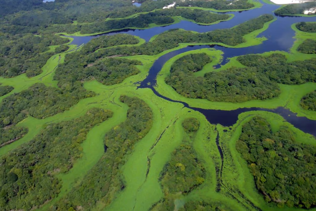 Parque Nacional de Anavilhanas