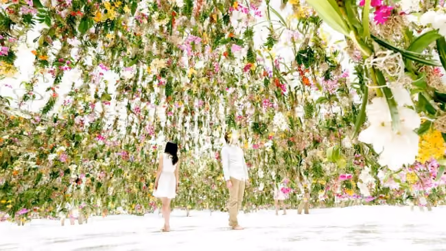 Floating-Flower-Garden_pe