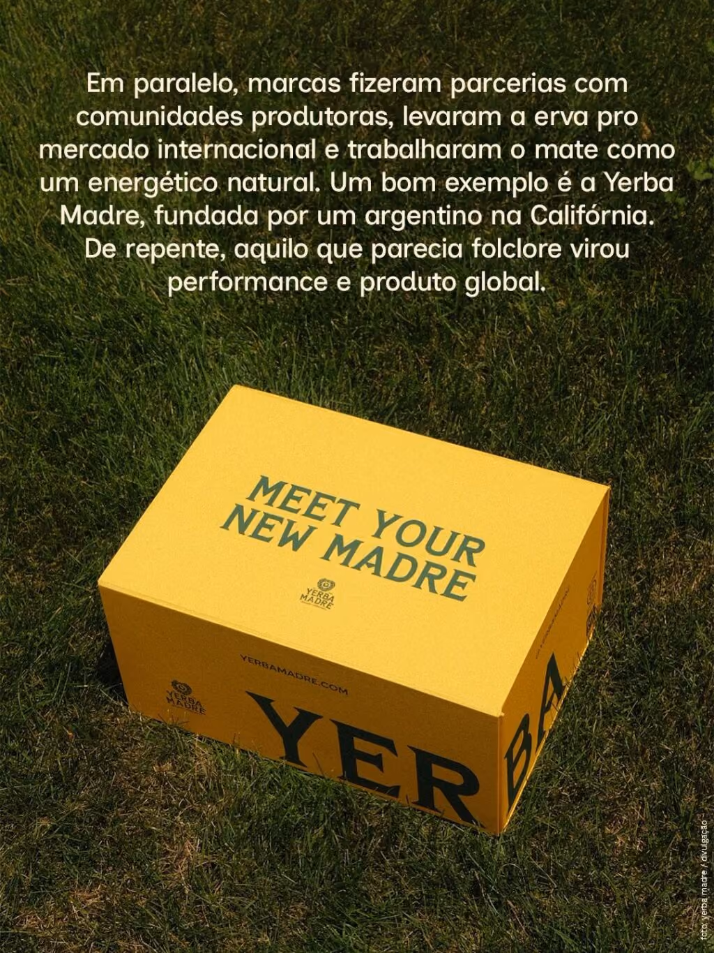Em paralelo, marcas fizeram parcerias com comunidades produtoras, levaram a erva pro mercado internacional e trabalharam o mate como um energético natural. Um bom exemplo é a Yerba Madre, fundada por um argentino na Califórnia. De repente, aquilo que parecia folclore virou performance e produto global.