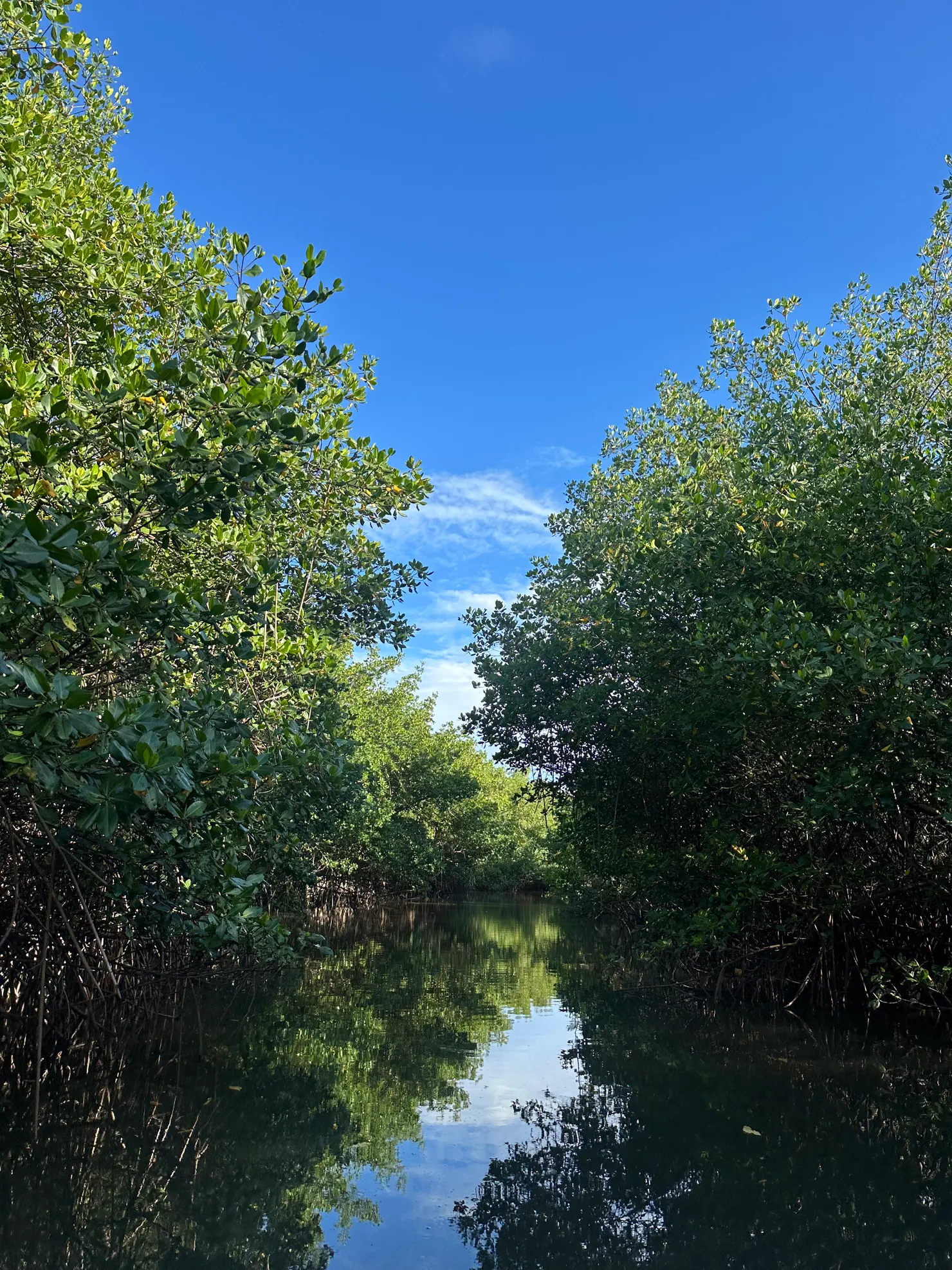 Baixio