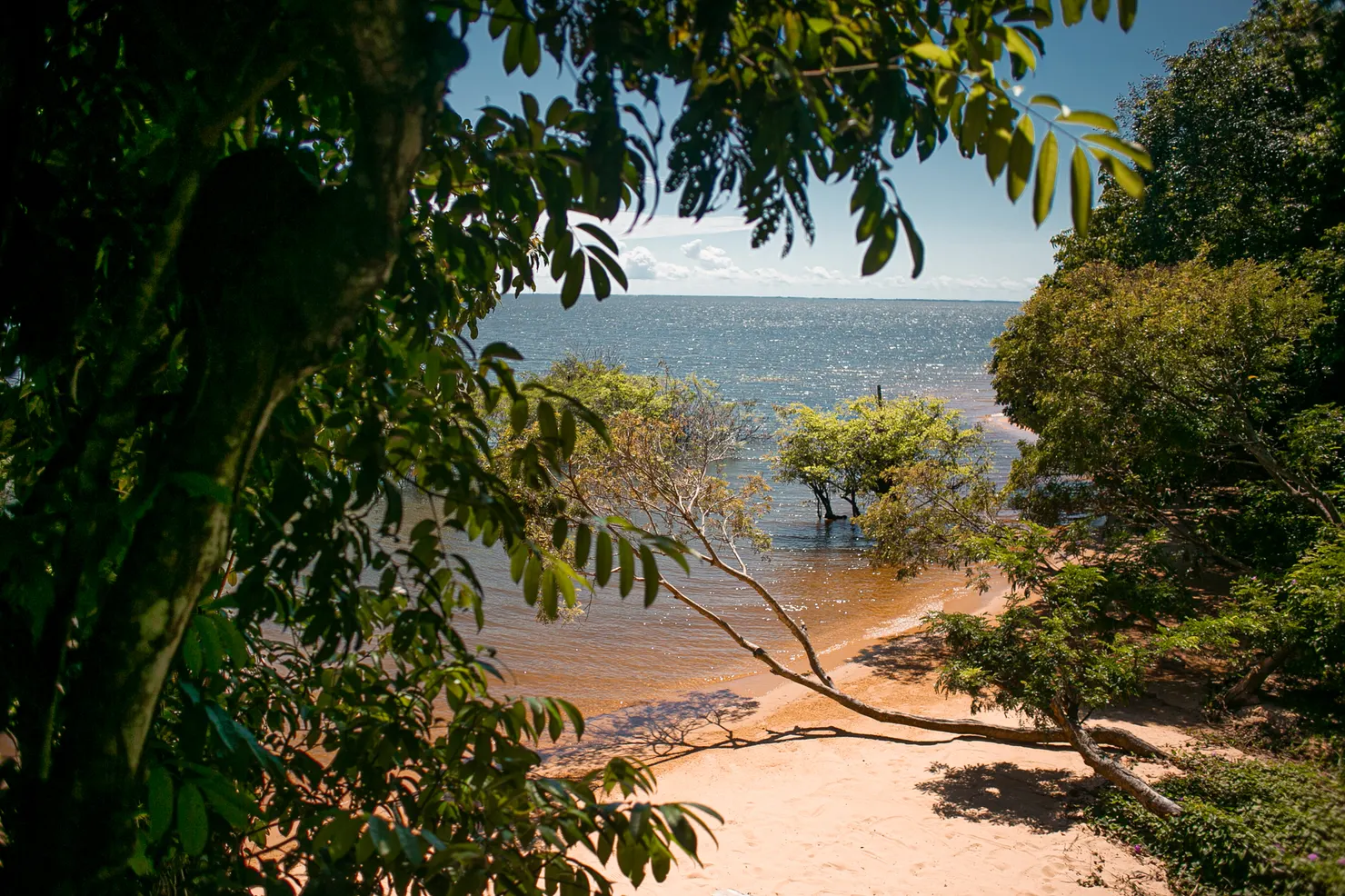 Vida de hotel: Bangalôs da Selva