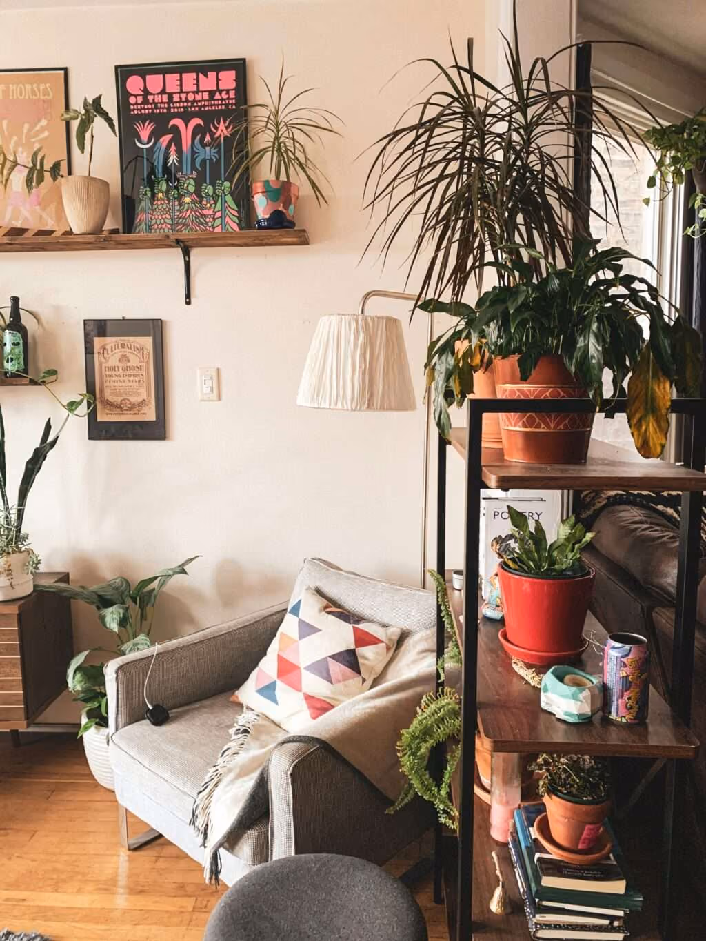 Ter plantas dentro de casa faz bem pra você