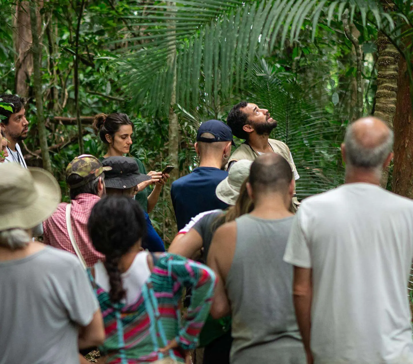 Sítio Agroflorestal São José, Paraty, Rio de Janeiro