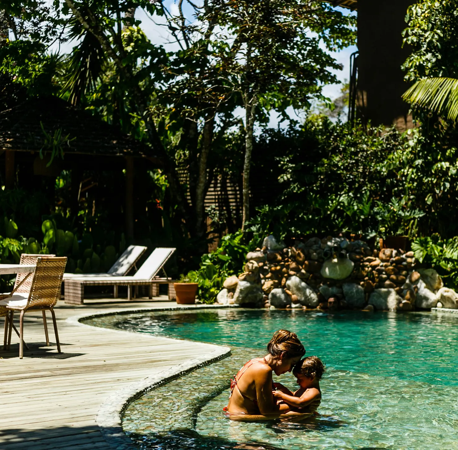 Capim Santo, em Trancoso