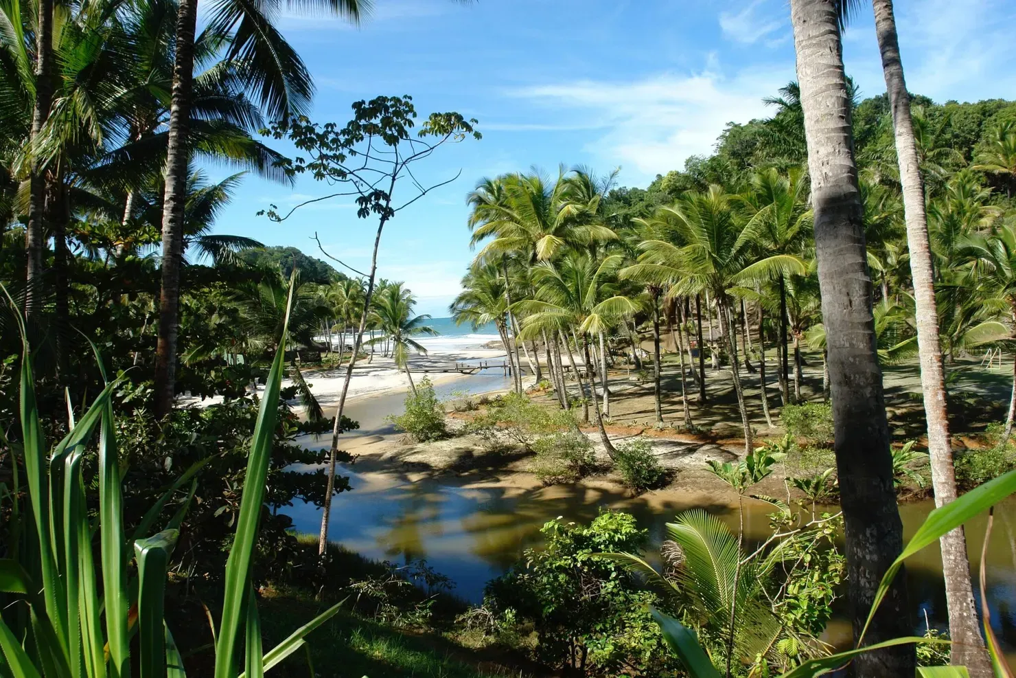 Itacaré: areia branca, água morna, ondas e rolês nas praias mais verdejantes da Bahia