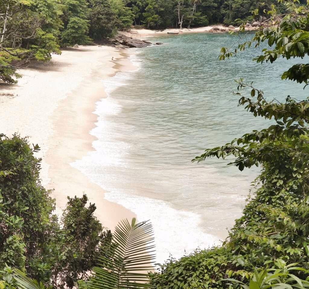 PEC das Praias: o The Summer Hunter é contra
