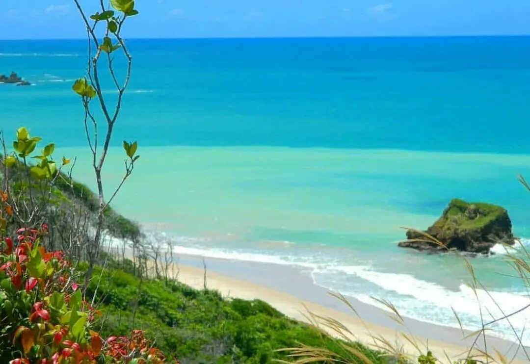 Praia de Arapuca