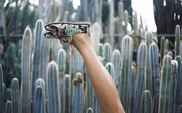 Insecta Shoes