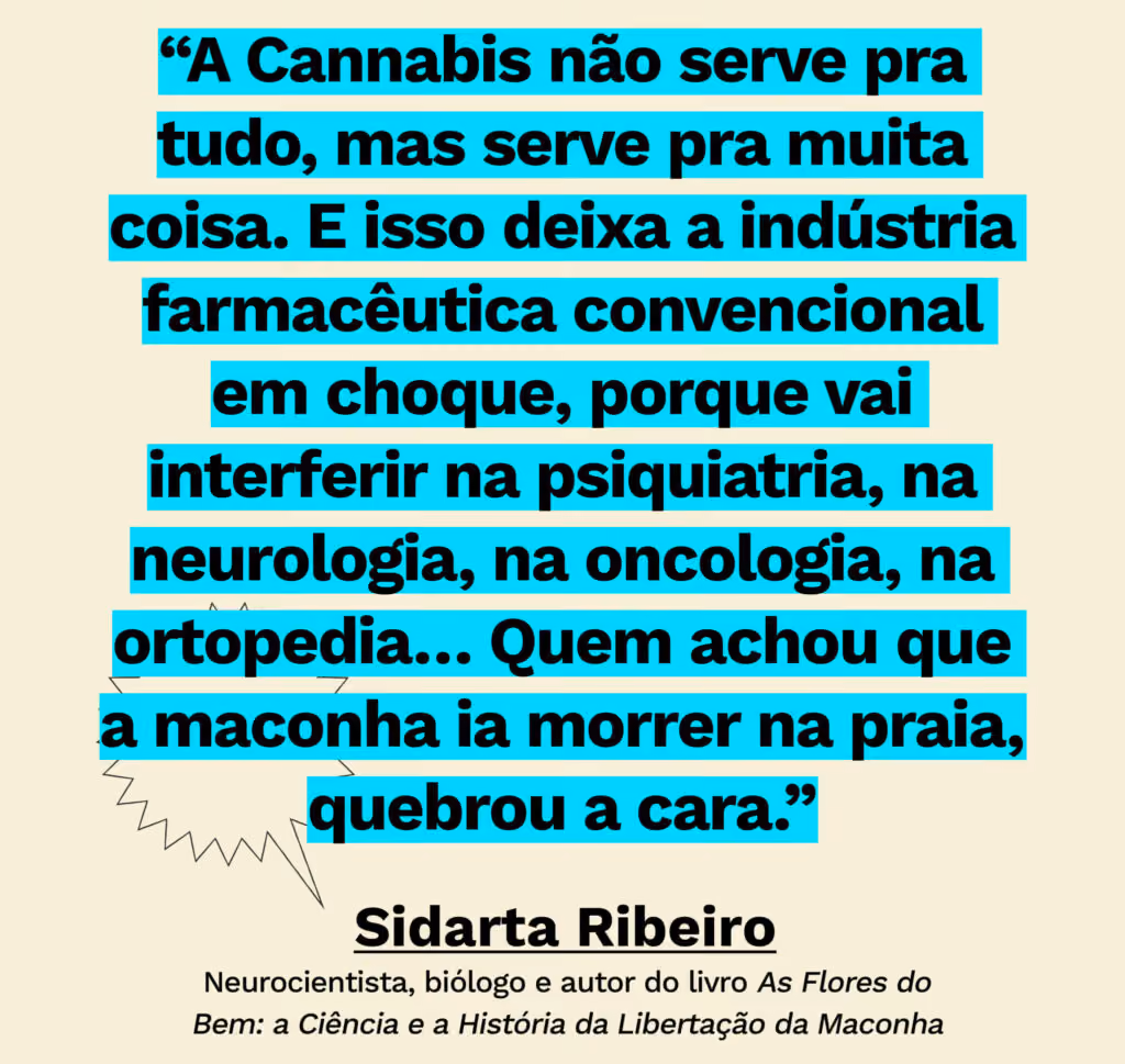 Desenrola, episódio #34: Cannabis: por que não legaliza?