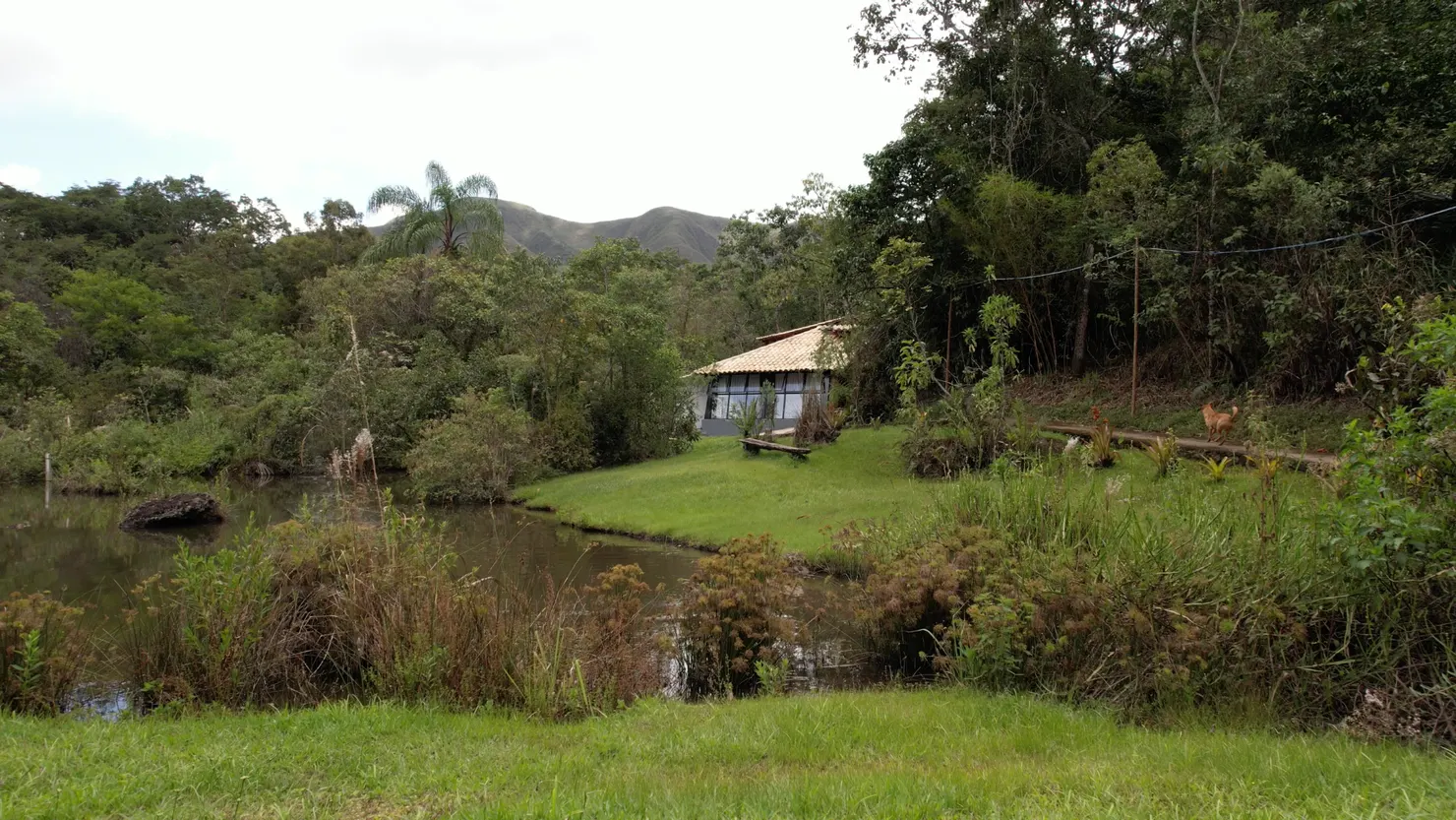 Verde Folhas, Brumadinho