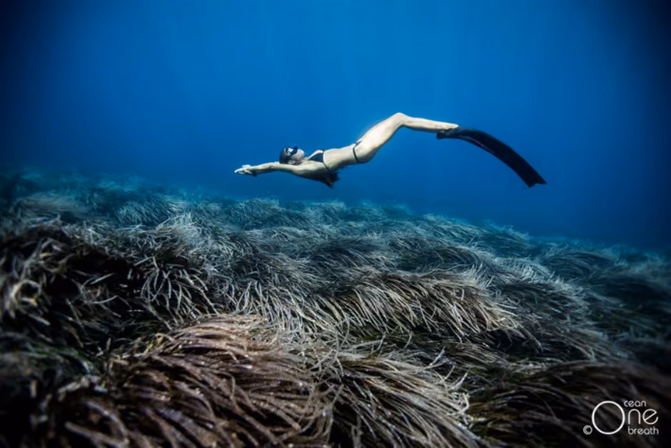 one ocean - the summer hunter (24)