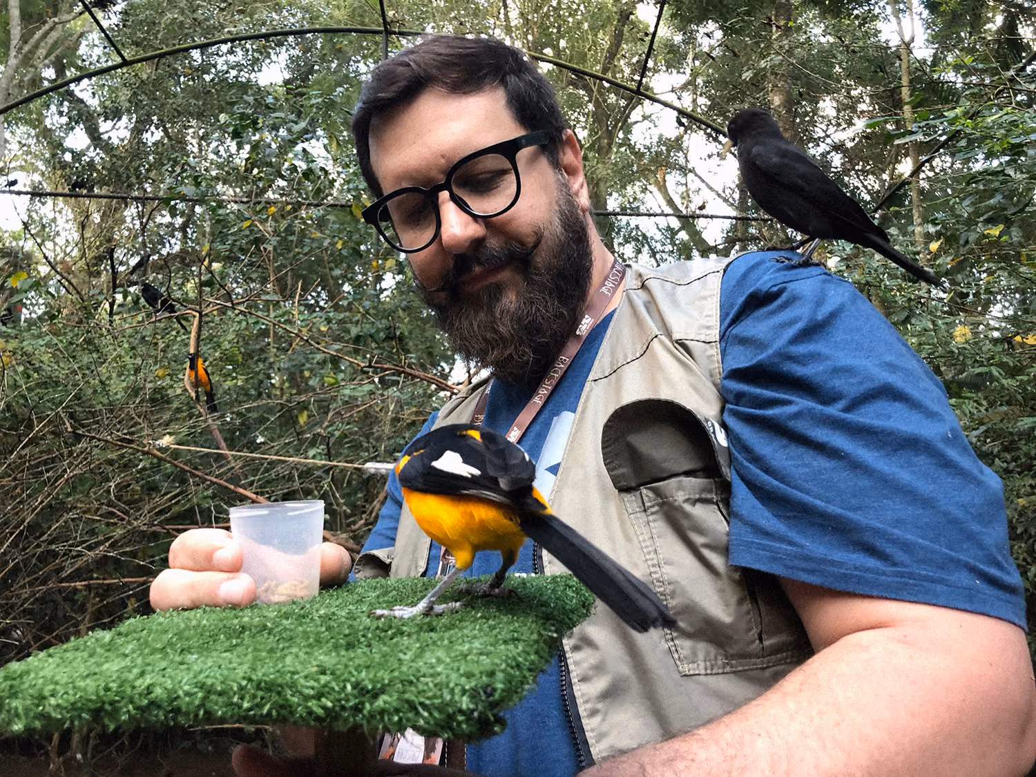 Parque das Aves