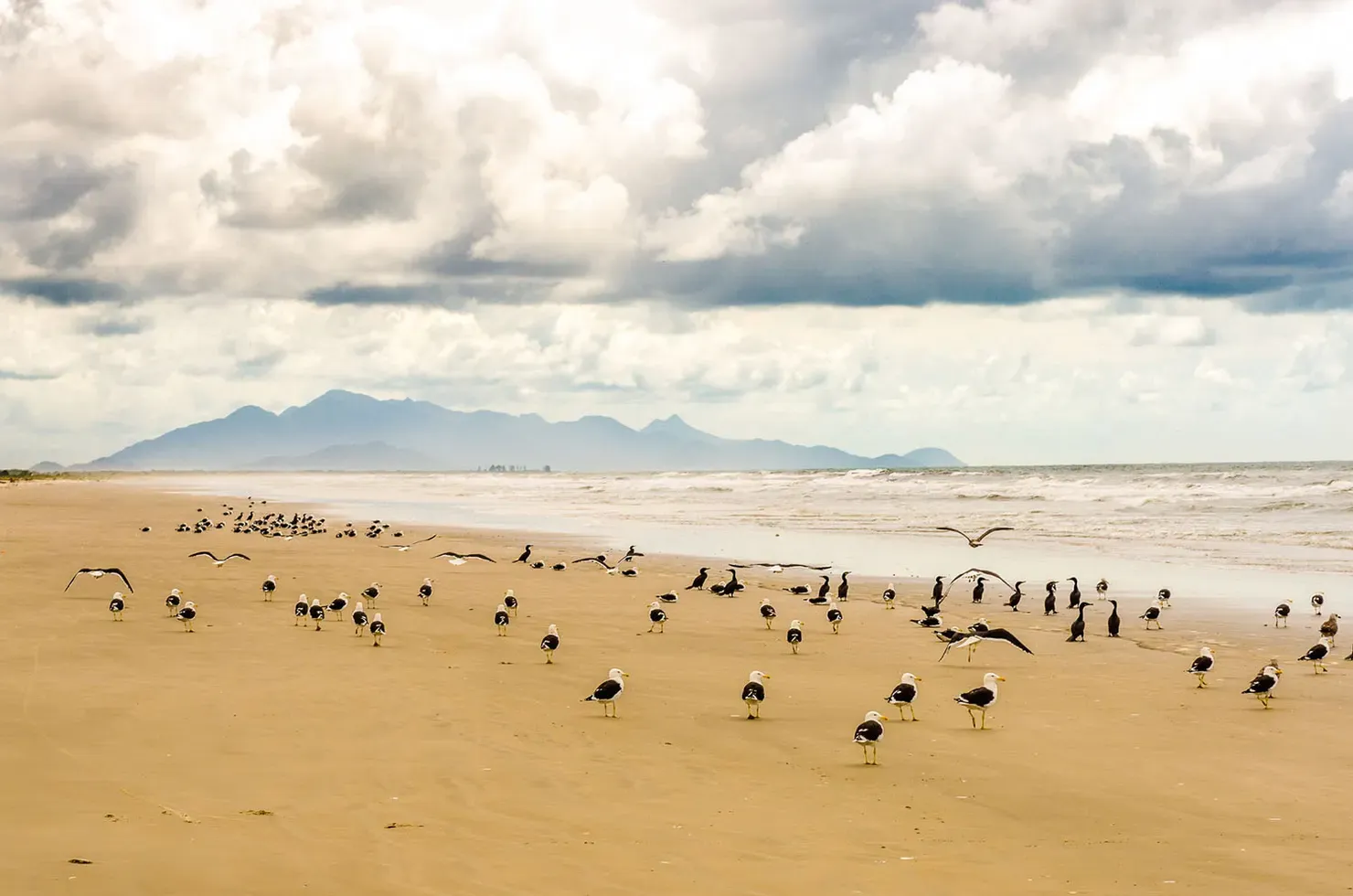 Superagui: praias desertas e Mata Atlântica na divisa do Paraná com São Paulo