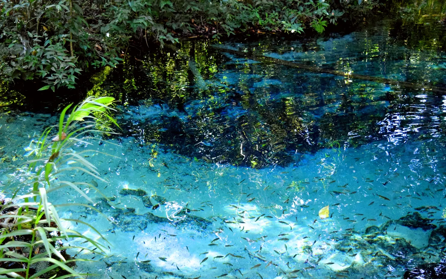 Aquário Encantado, no vilarejo Bom Jardim, Nobres, Mato Grosso
