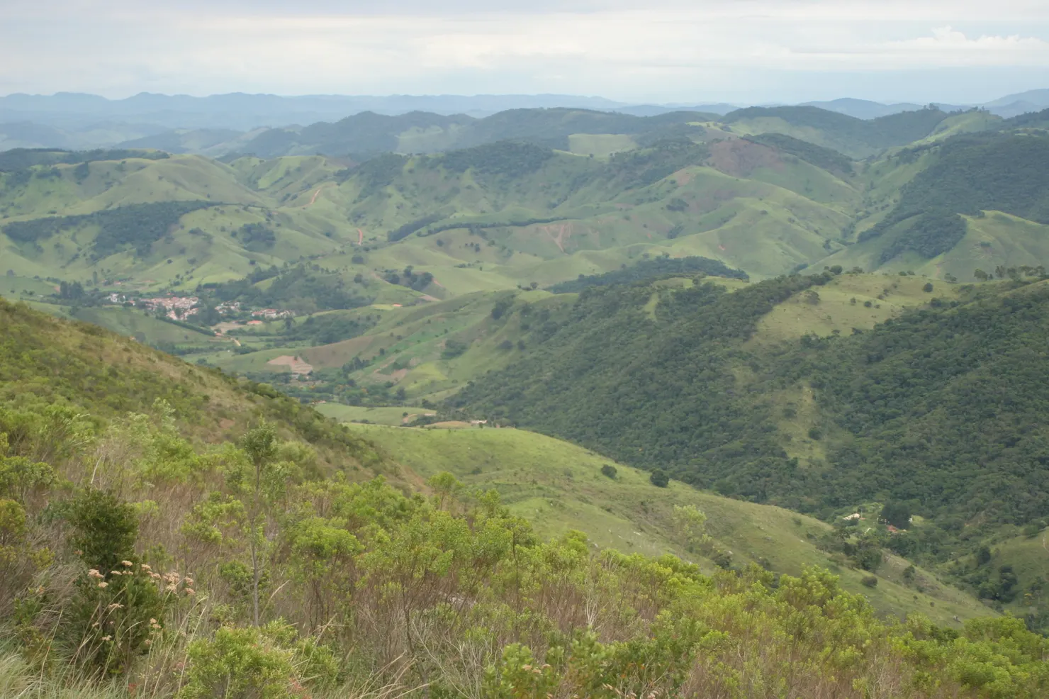 Catuçaba